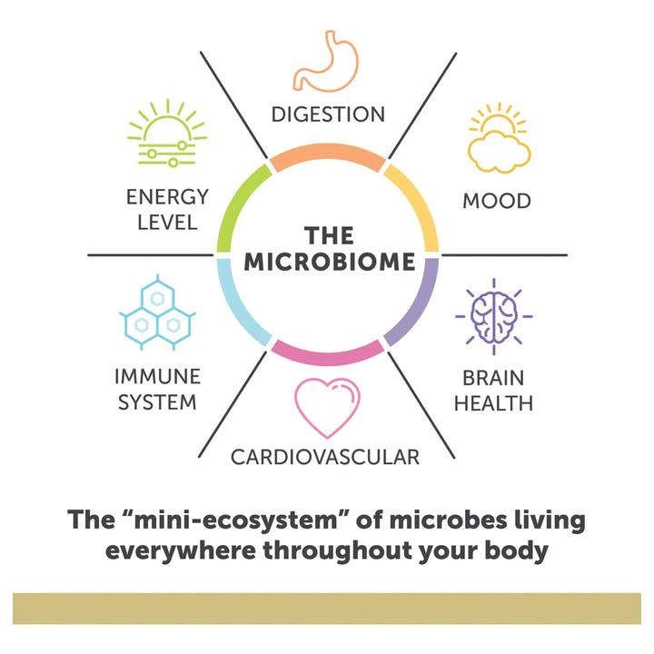 Aceite De Pescado Omega 3 Alta Potencia 60 Cápsulas Blandas - Imagen 4