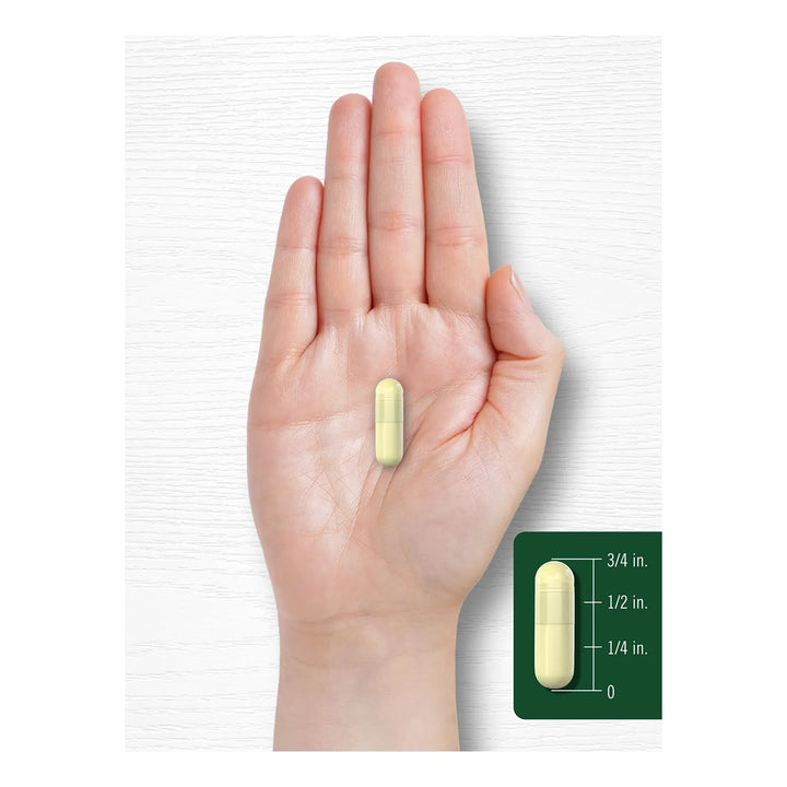 Cápsulas Goldenseal 1000 Mg 200 Unidades Herbolaria Tradicio - Imagen 7
