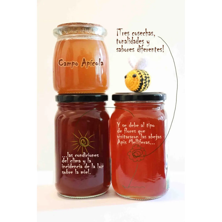 Miel De Abejas Natural. Campo Apícola Santander 500g Origen Multifloral - Imagen 4