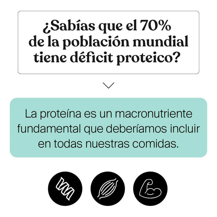 Proteína Savvy Chicken Soup Bone Broth Power® 375g - Imagen 9