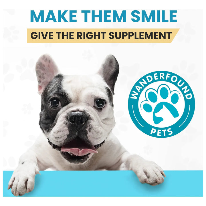 Aceite De Cáñamo 5000 Mg Para Perros Y Gatos Alivio Ansiedad - Imagen 6