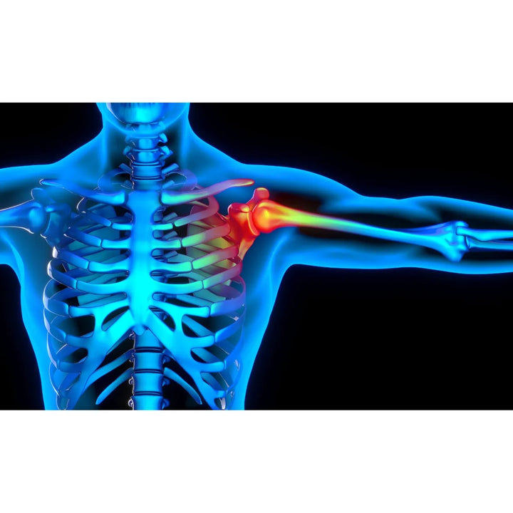 Omega 3 Botanitas + Complejo B - Imagen 9