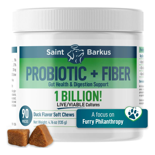 Probióticos Y Fibra Para Perros Salud Digestiva Regularidad