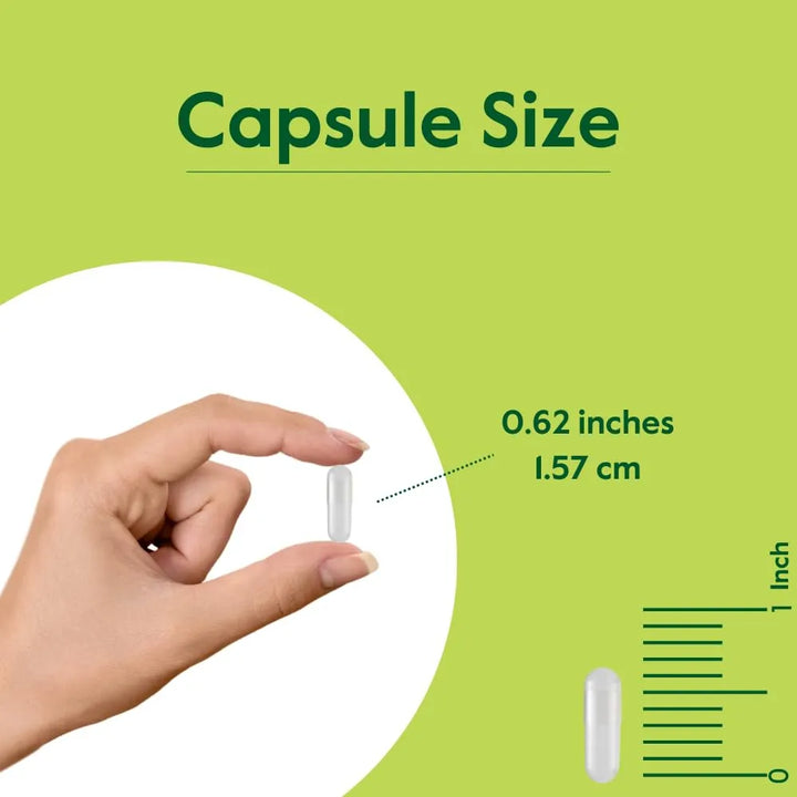 Cápsulas De Relora 250mg 240 Unidades Sin Rellenos Sin Estea - Imagen 5