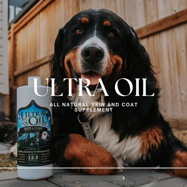 Aceite Ultra Hidratante Para Piel Y Pelaje De Perros Y Gatos - Imagen 3