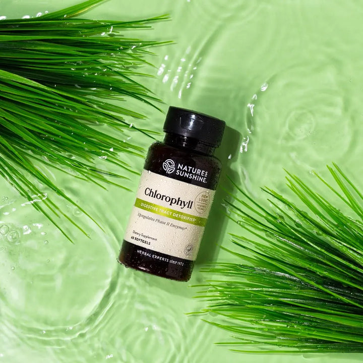 Cápsulas Blandas Clorofila 60 Unidades Fórmula Natural Detox - Imagen 2
