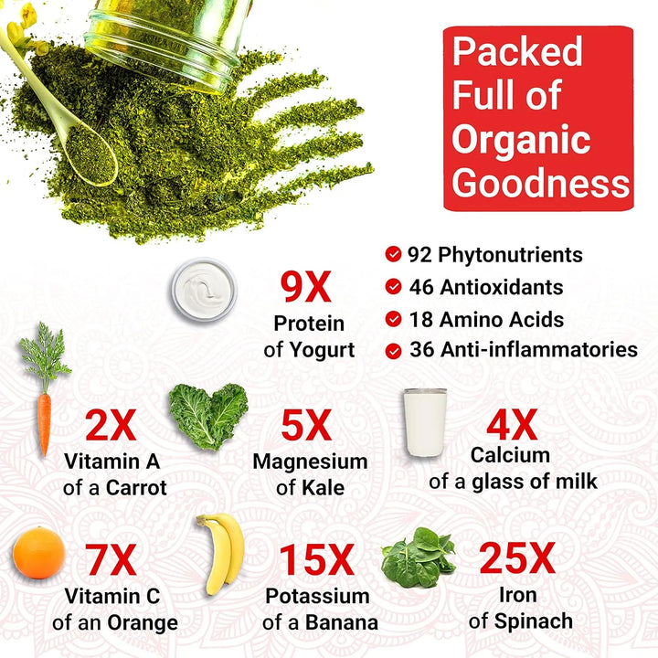 Cápsulas Orgánicas De Moringa Oleifera Con Hojas Naturales C - Imagen 4
