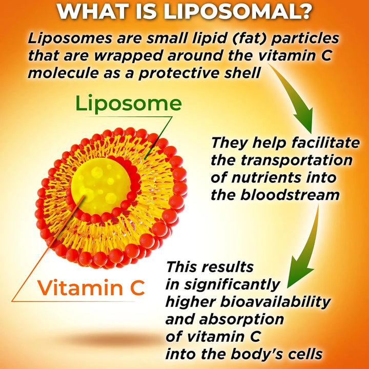 Cápsulas Liposomales Vitamina C 1500 Mg De Acerola Orgánica - Imagen 4