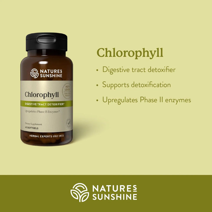 Cápsulas Blandas Clorofila 60 Unidades Fórmula Natural Detox - Imagen 3