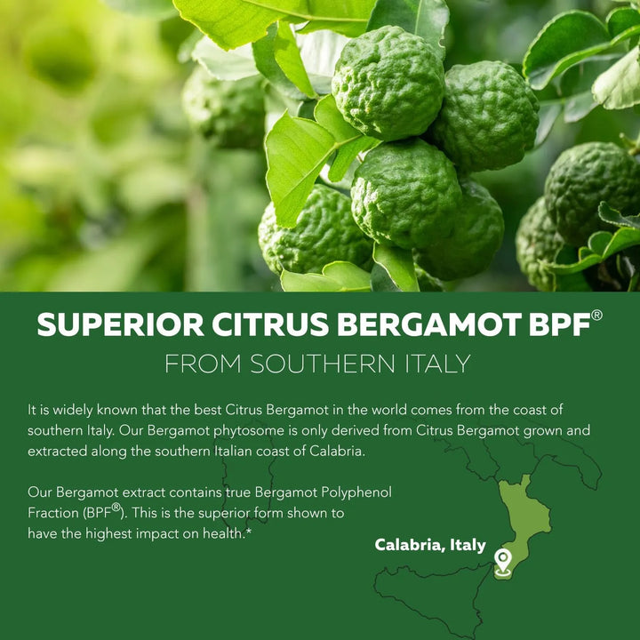Bergamota Cítrica Fitosoma Italiano 2.5 Veces Eficaz Con Ext - Imagen 8