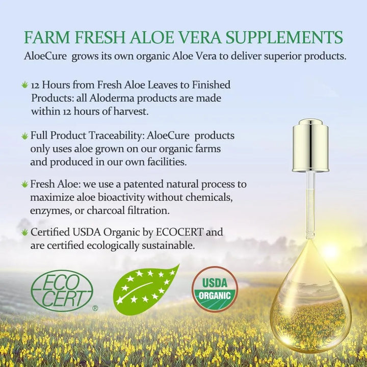 Cápsulas Orgánicas De Aloe Vera 130 Gramos Apoyan Salud Inte - Imagen 6