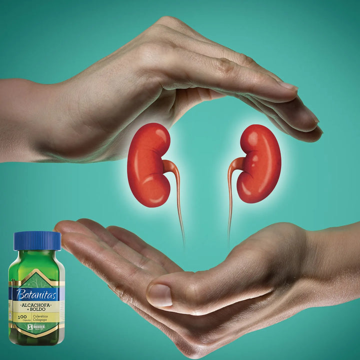 Alcachofa + Boldo X100 Capsulas - Imagen 6