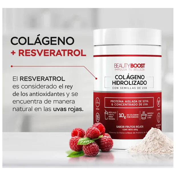 Colágeno Frutos Rojos+chocolate Frutos Rojos - Imagen 6