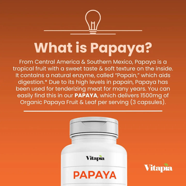 Cápsulas De Enzimas De Fruta De Papaya 1500 Mg Para Digestió - Imagen 3