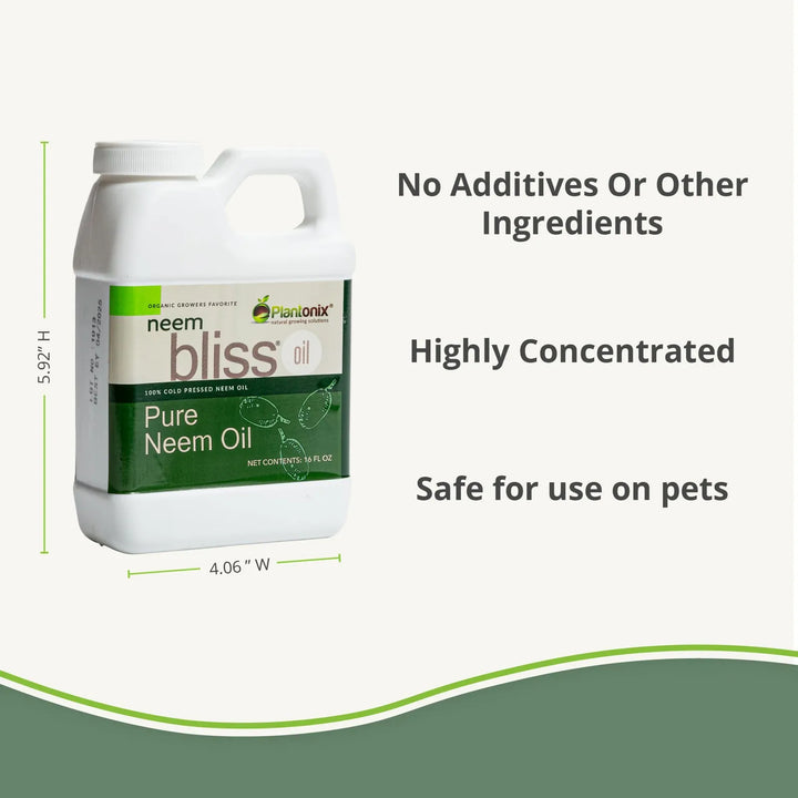 Aceite Puro Neem Bliss 100% De Semillas Prensadas Del Árbol - Imagen 4
