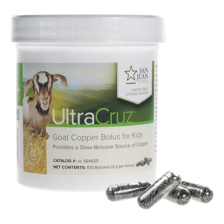 Bolo De Cobre Para Cabras Infantiles Pack De 100 Unidades 2 - Imagen 2