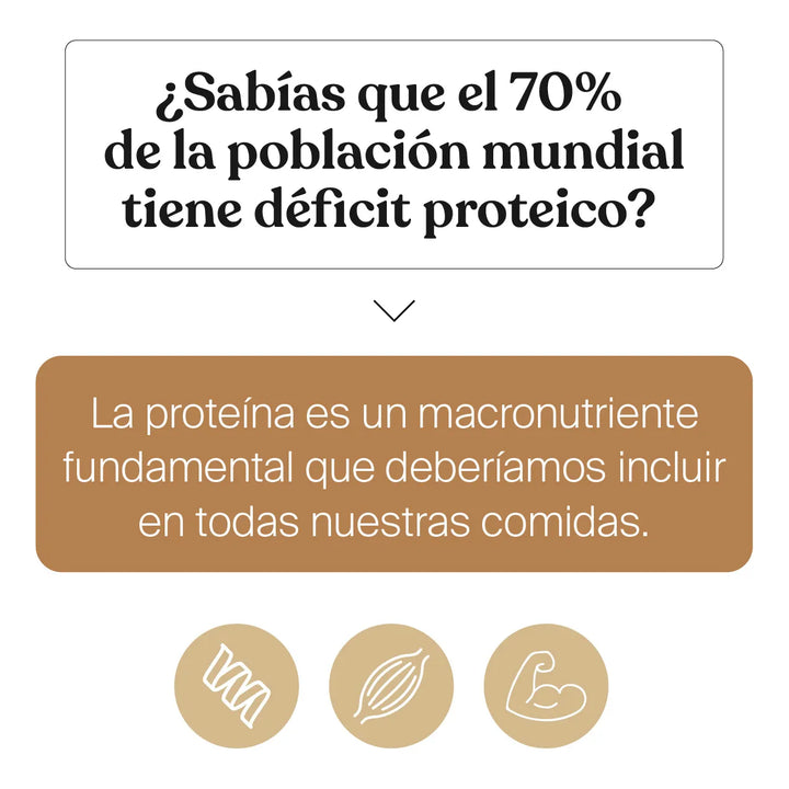 Proteína Chocolate Savvy Bone Broth 560g - Imagen 9