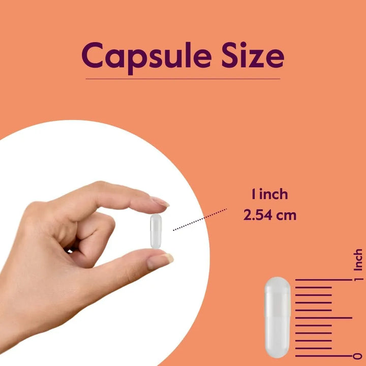 Cápsulas De L-glutamina 1000 Mg 240 Cápsulas Pura Sin Estear - Imagen 6
