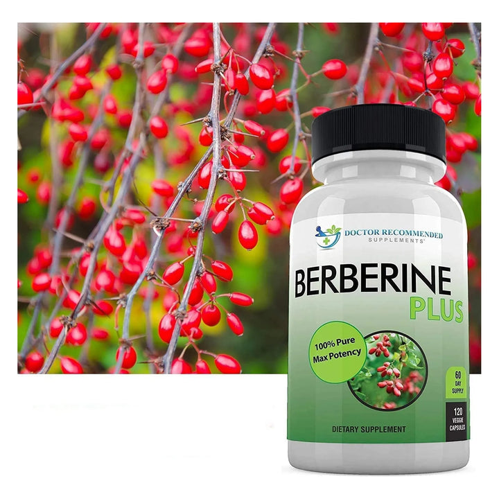 Berberina 1200mg 120 Cápsulas Vegetales Apoya Sistema Inmuno - Imagen 4