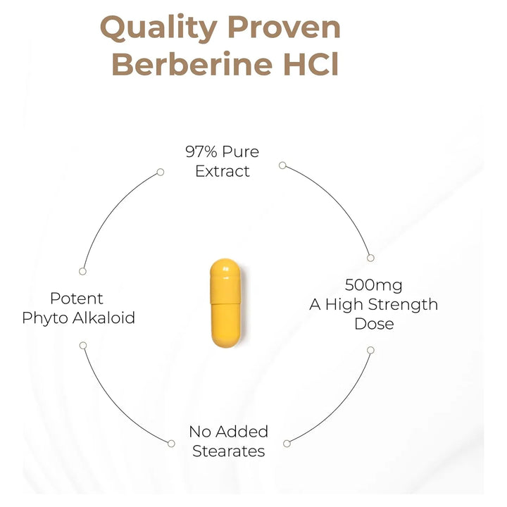 Berberina Hcl 500 Mg Extracto Berberis Aristata 60 Cápsulas - Imagen 10