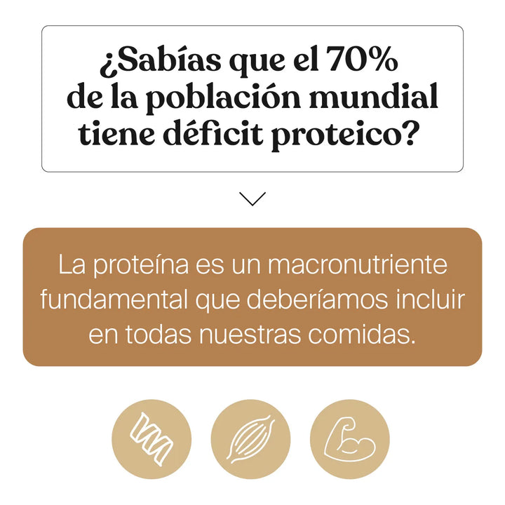 Proteína Savvy Caramel Vanilla Bone Broth 560g - Imagen 9