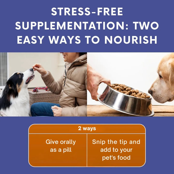 Aceite De Pescado Omega 3 Puro Para Perros Y Gatos Apoyo Art - Imagen 5