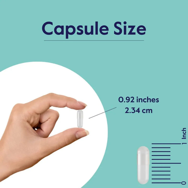 Berberina 500mg 120 Cápsulas Puras Sin Aditivos Ni Estearato - Imagen 5