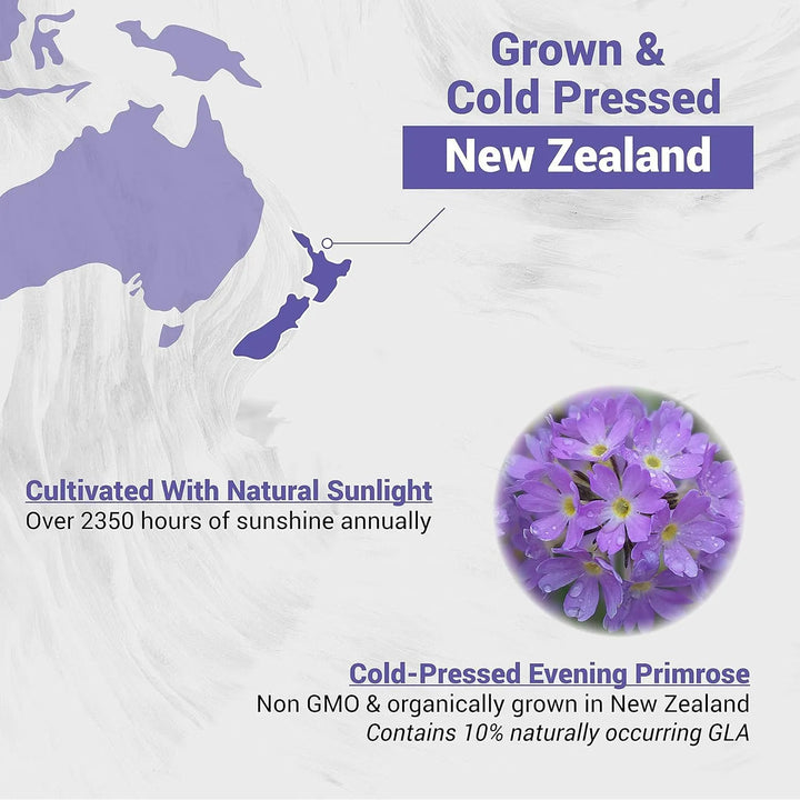 Aceite De Onagra Prensado En Frío 100% Natural De Nueva Zela - Imagen 4