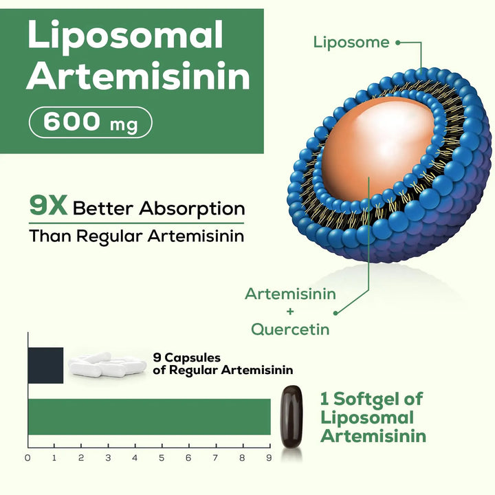 Artemisinina 600 Mg Fitosoma Quercetina Extracto Ajenjo Dulc - Imagen 2