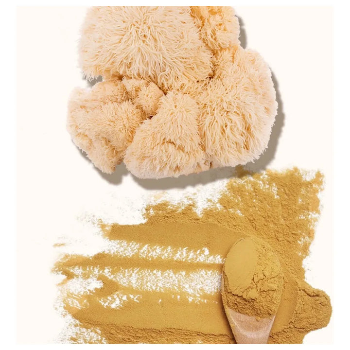 Melena De León Vitalsetas 60g Natural - Imagen 4