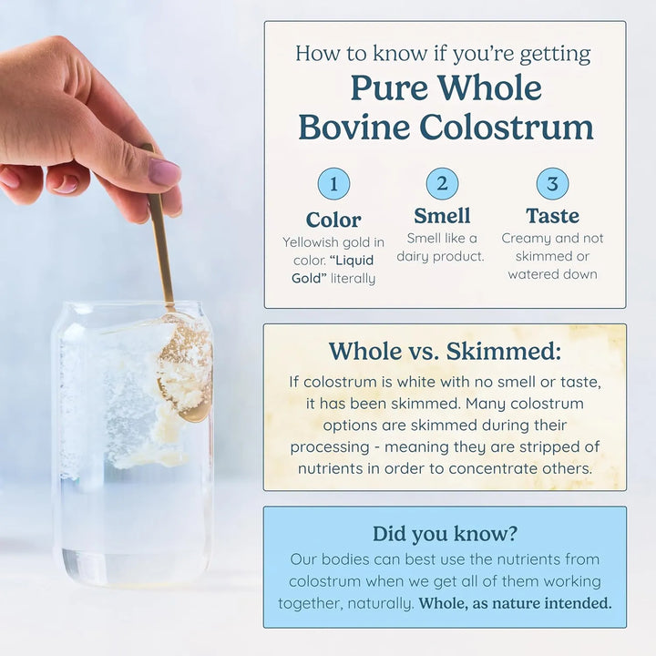 Calostro En Polvo Puro Para Salud Intestinal Apoyo Inmunológ - Imagen 4