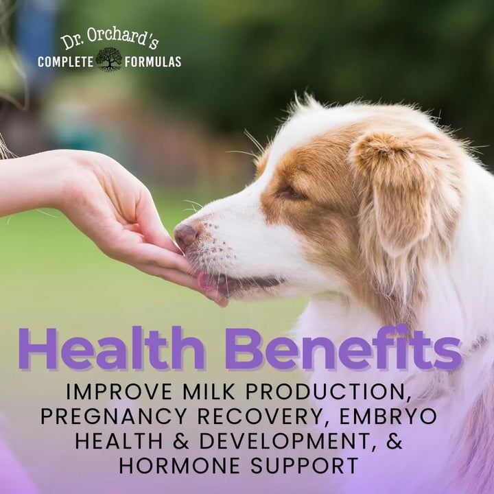 Vitaminas Prenatales Premium Para Perros Embarazo Lactancia - Imagen 4