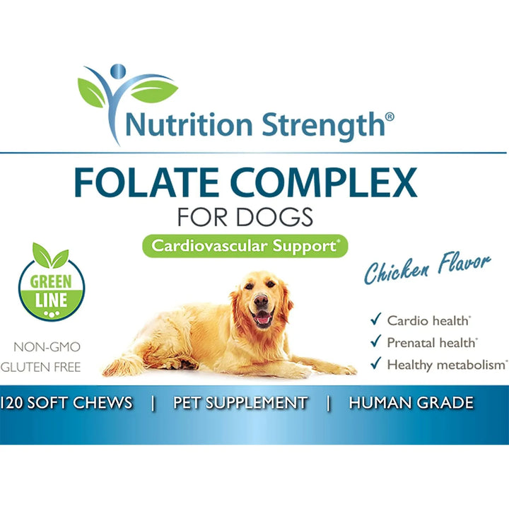 Folato Para Perros Salud Cardiovascular Prenatal Adn Manteni - Imagen 6