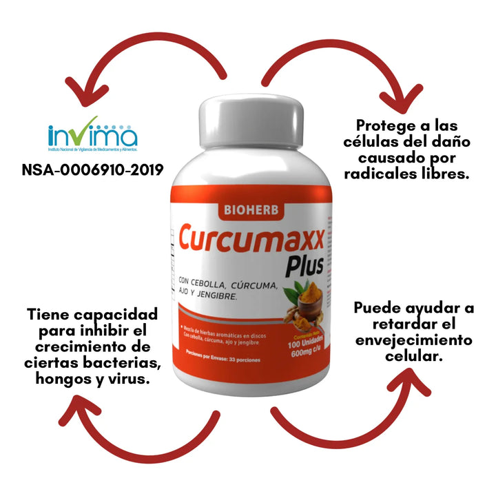 Cúrcuma Curcumina 100 Cápsulas Invima Jengibre 600mg - Imagen 4
