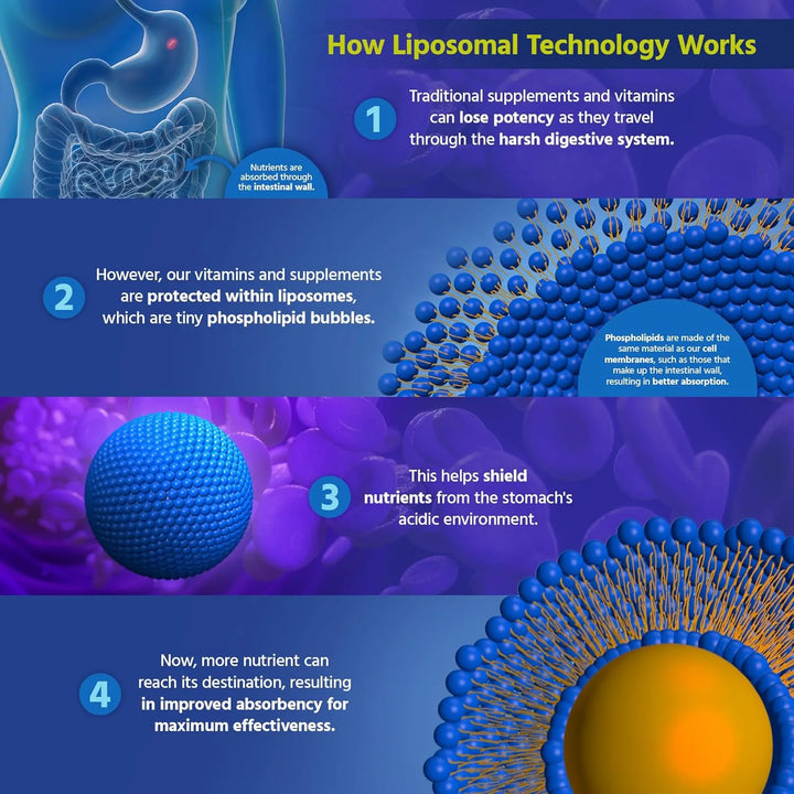 Cápsulas De Curcumina Liposomal 500 Mg Extracto Puro Alta Ab - Imagen 6
