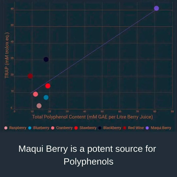 Cápsulas De Maqui Berry 500 Mg Antioxidante Alto Orac Refuer - Imagen 5