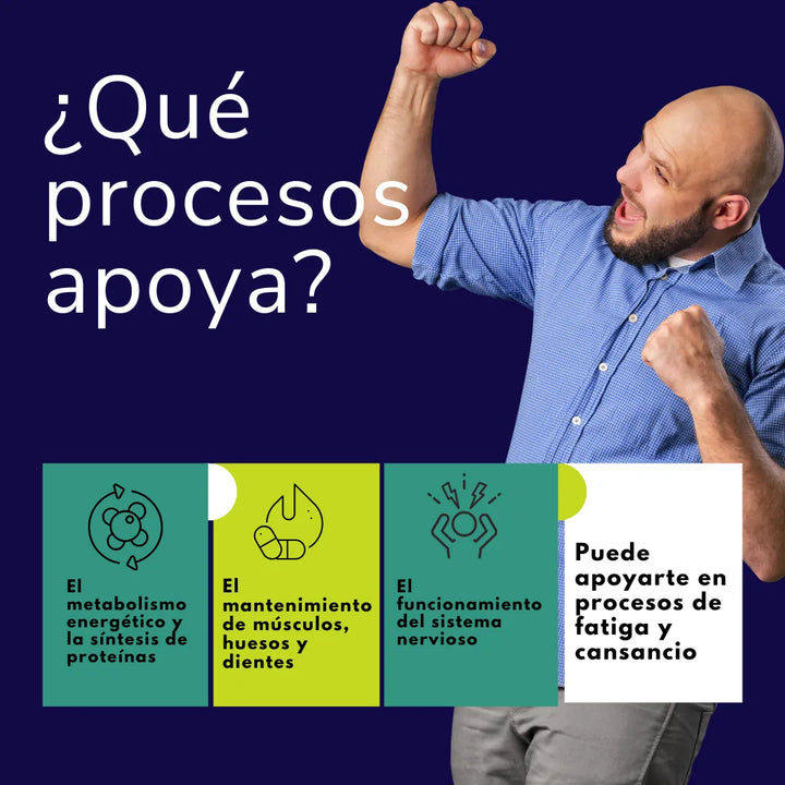 Glicinato De Magnesio Capsulas Alta Absorcion Original N/a - Imagen 4