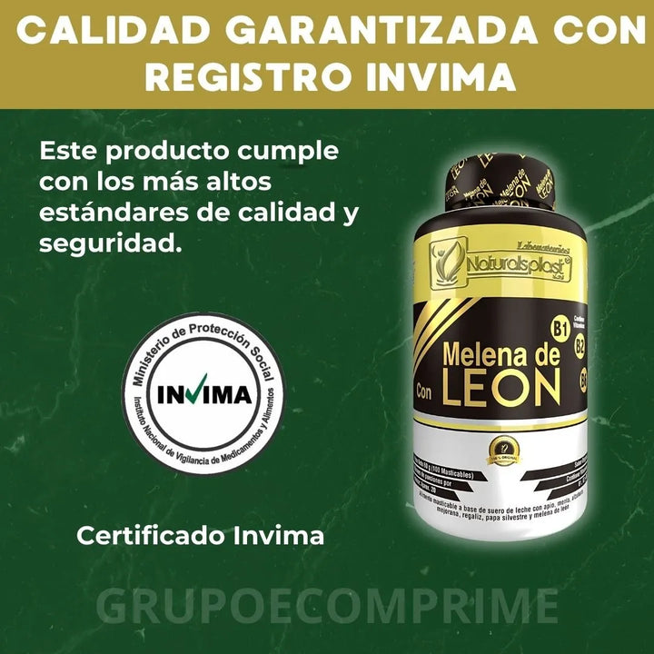 Melena De Leon Organica Hongo Natural - Imagen 3