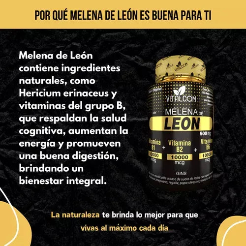 Melena De Leon Por 60 Capsulas Puro Organica 500mg Natural - Imagen 3