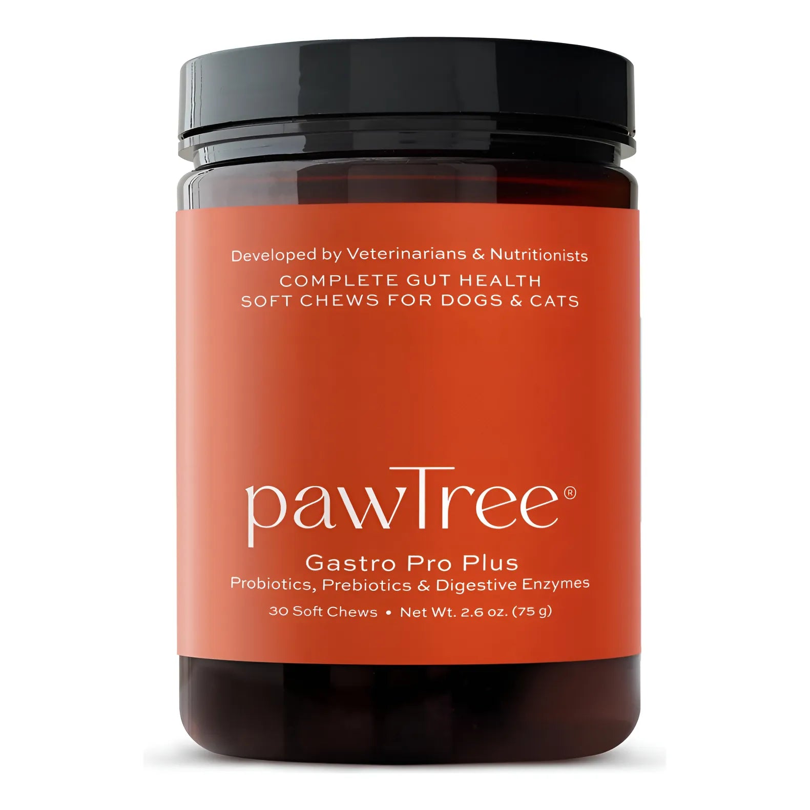 Gastro Pro Plus Para Perros Y Gatos Probióticos Prebióticos Enzimas Di ...