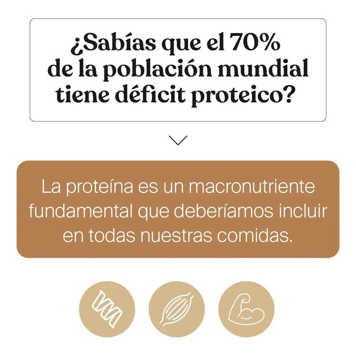 Proteína Savvy Caramel Vanilla  Bone Broth Mini 280g - Imagen 9