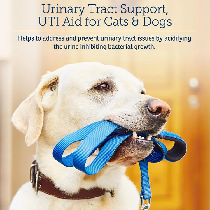 Cápsulas De Arándano Para Perros Y Gatos Apoyo Salud Urinari - Imagen 3