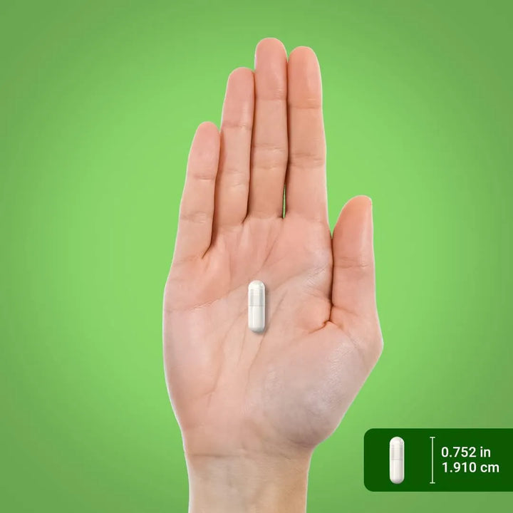 Cápsulas Probióticas Acidophilus 3 Mil Millones Cultivos Viv - Imagen 7