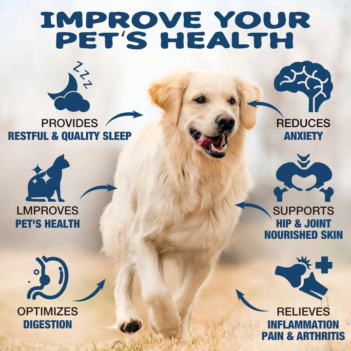 Aceite Para Mascotas 2 Paquetes Alivia Ansiedad Reduce Dolor - Imagen 4