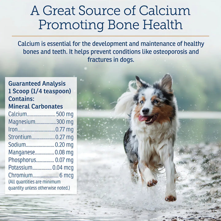 Minerales Esenciales En Polvo Para Perros Calcio Magnesio Hi - Imagen 6