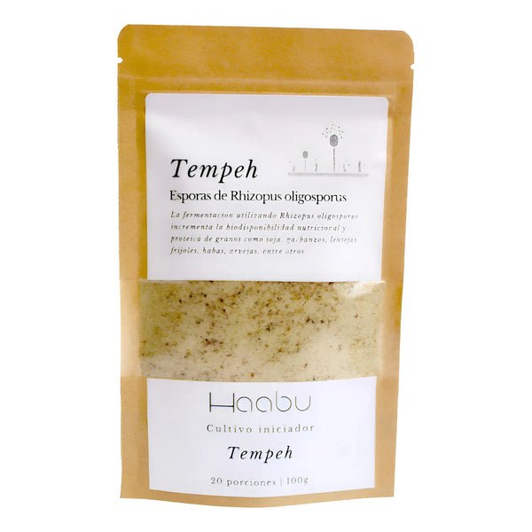 Tempeh | Cultivo De Proteina Fermento - Imagen 1