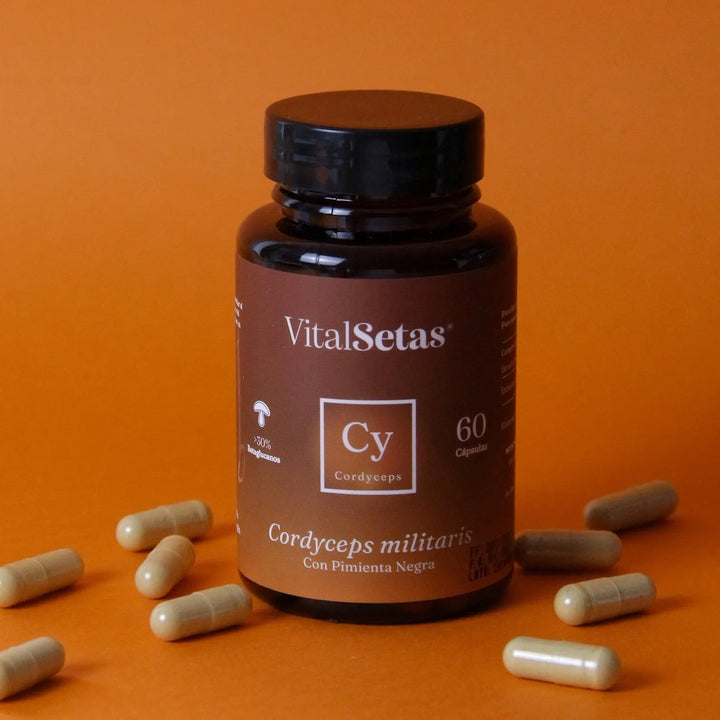 Cápsulas Cordyceps Vitalsetas Natural - Imagen 2