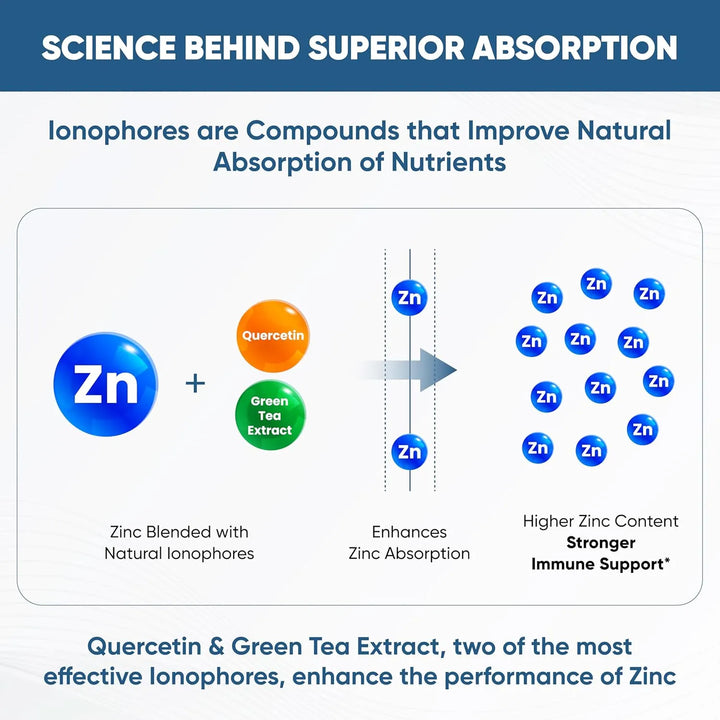 Cápsulas De Zinc Con Quercetina Y Extracto De Té Verde Alta - Imagen 2