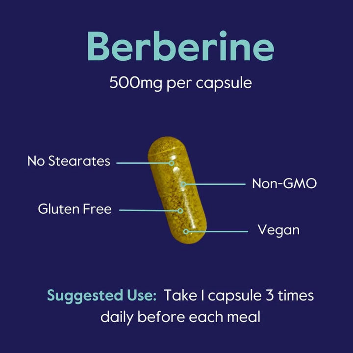 Berberina 500mg 120 Cápsulas Puras Sin Aditivos Ni Estearato - Imagen 6