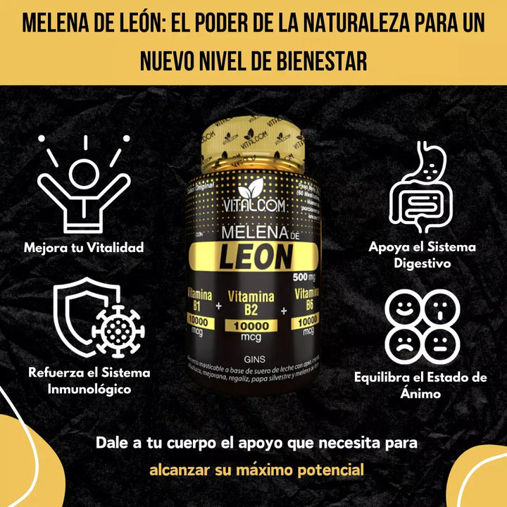 Melena De Leon Por 60 Capsulas Puro Organica 500mg Natural - Imagen 4